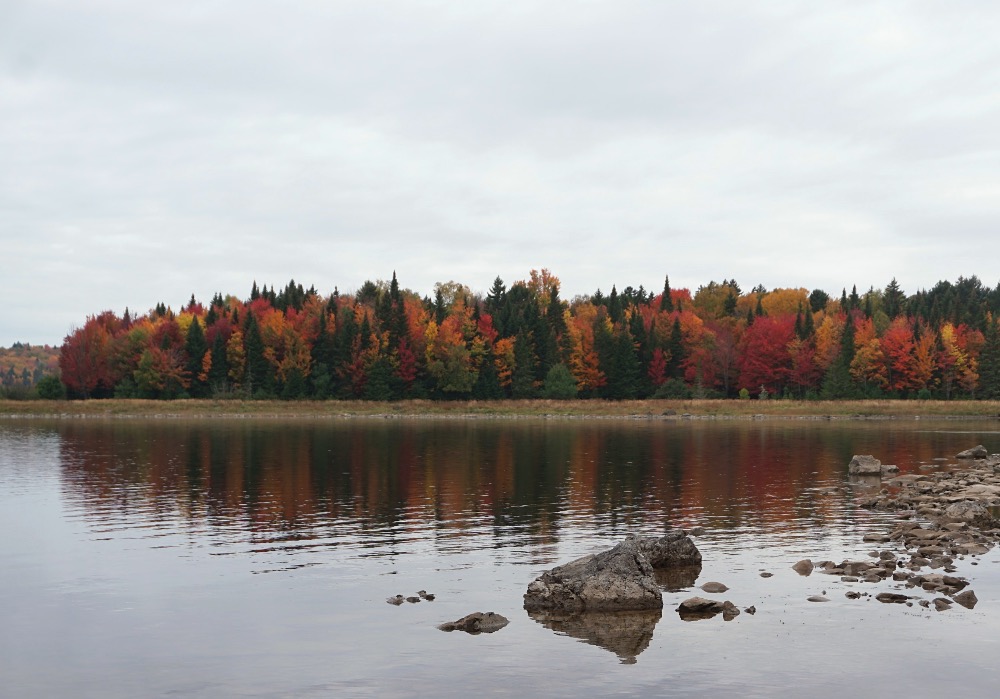 Fall colors Allagash River