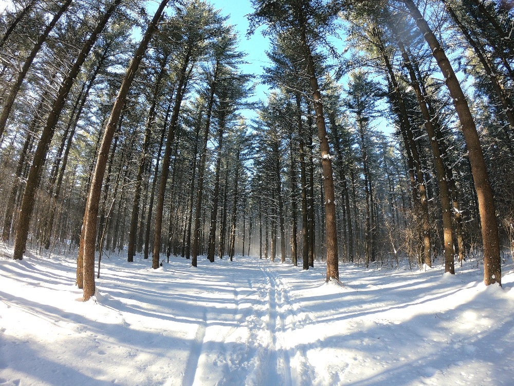 Wisconsin cross-country ski trails