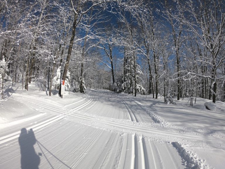 ABR Ski Trails perfect crosscountry ski conditions