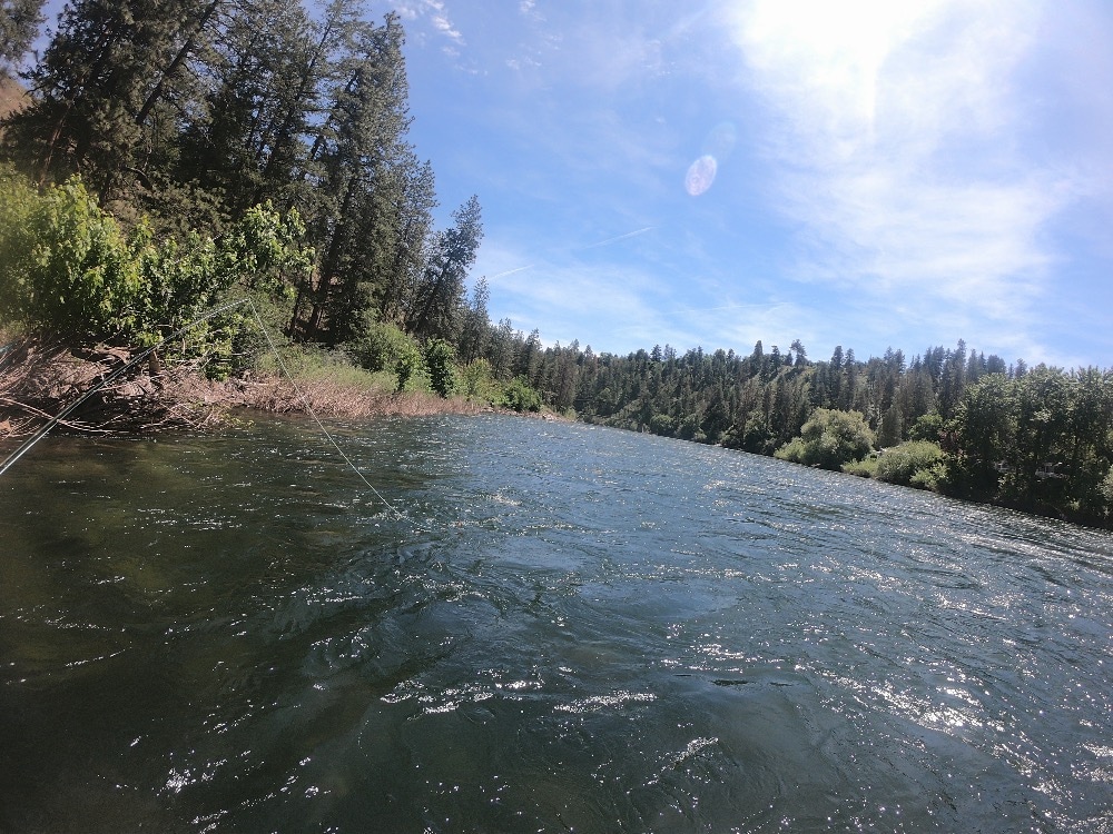 Spokane River fly fishing
