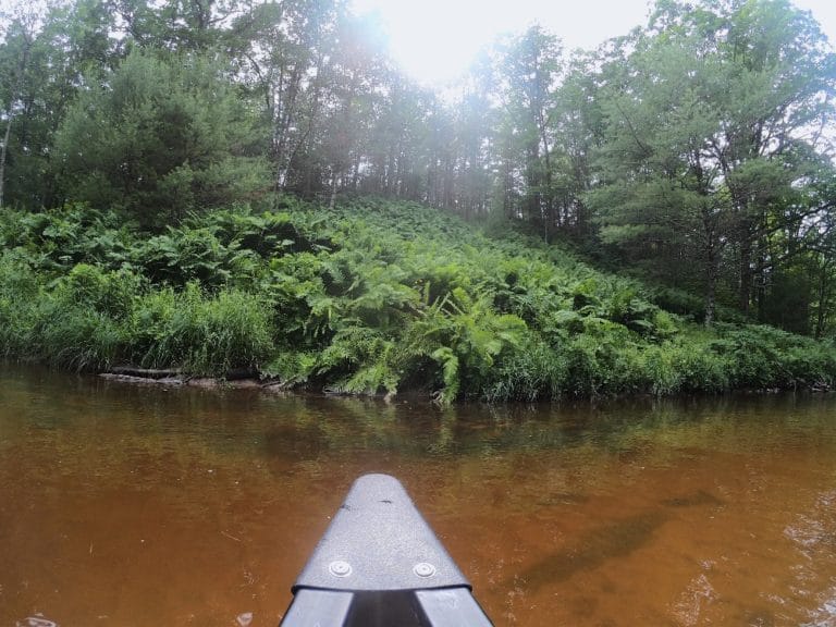 Halls Creek canoeing in the Black River State Forest in central Wisconsin