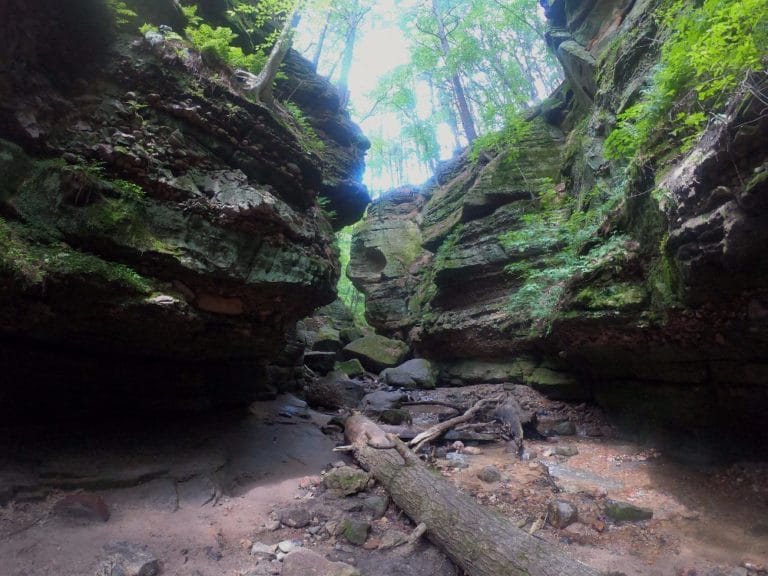 Parfrey's Glen State Natural Area a perfect add on for local adventure