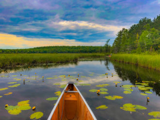 Bark Bay Slough State Natural Area in Bayfield County Wisconsin