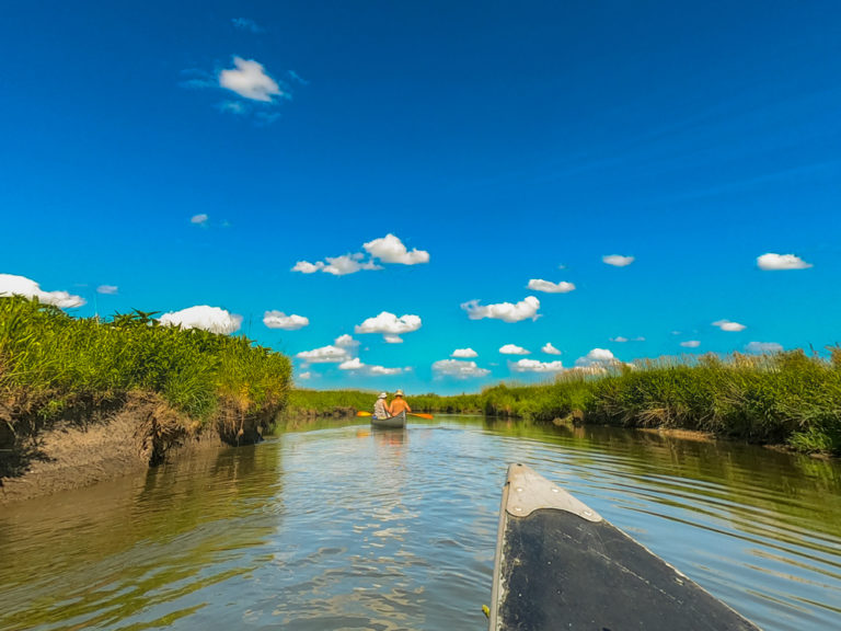 Nippersink Creek canoe poling adventure through Glacial Park