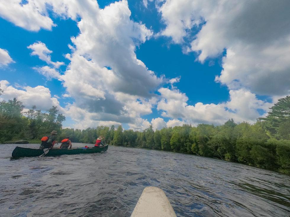 Flambeau River canoeing the North Fork below Turtle Dam