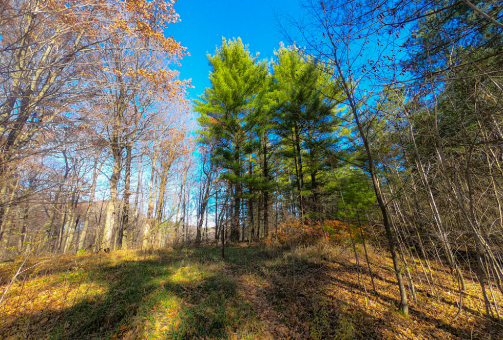 Wisconsin Ice Age Trail backpacking through northern Kettle Moraine.
