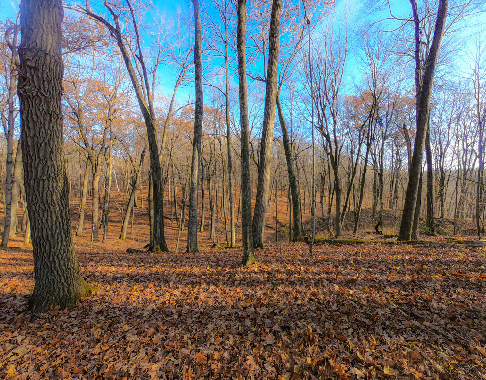 Kettle Moraine State Forest