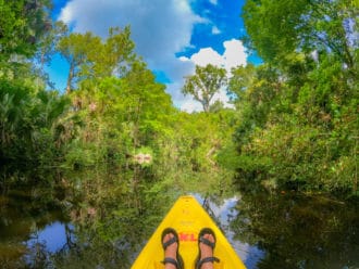 Kings Landing Kayak Rental adventure