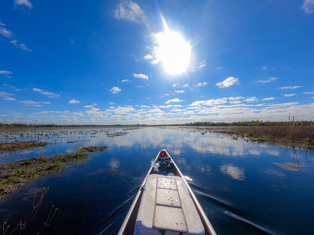 Okefenokee Swamp paddling