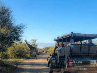 Safari concierge