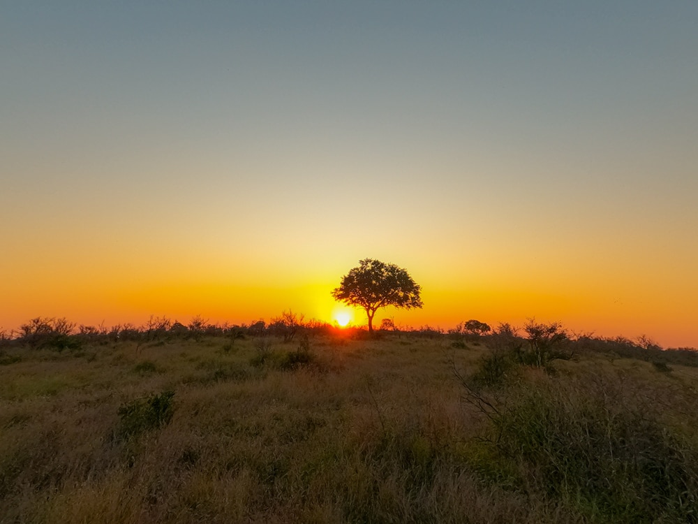 Sunrise Kruger National Park