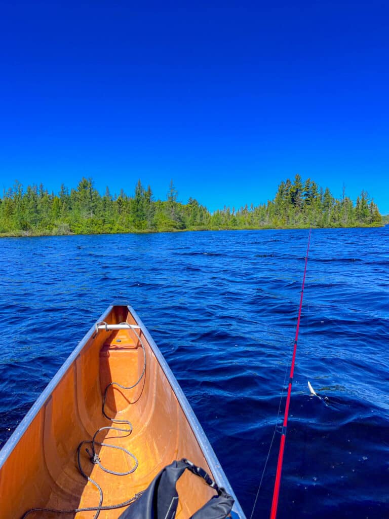 North Bass Lake