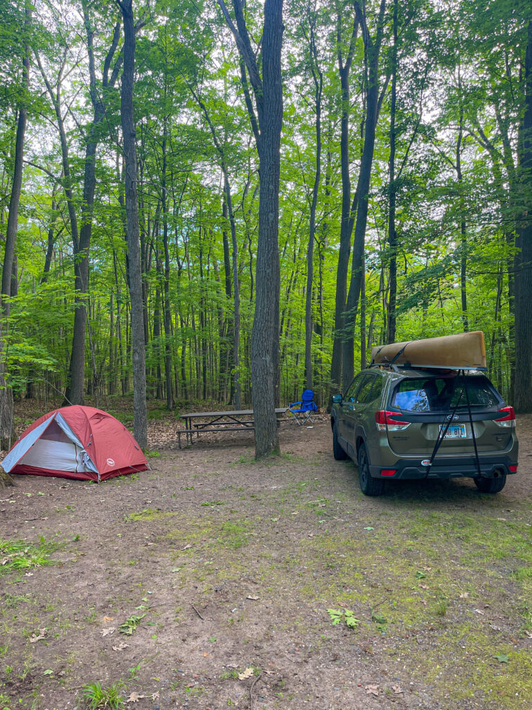 Northern Highlands American Legion State Forest