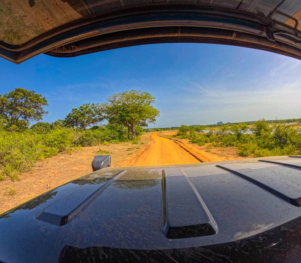 Yala National Park Sri Lanka