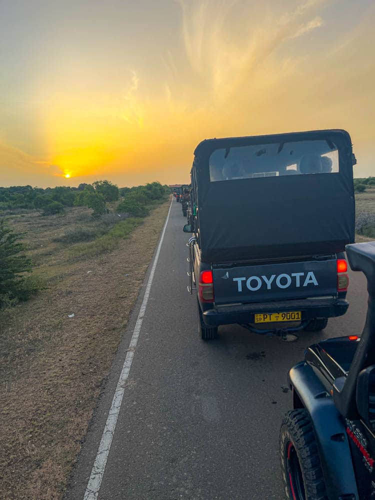 Yala National Park entrance