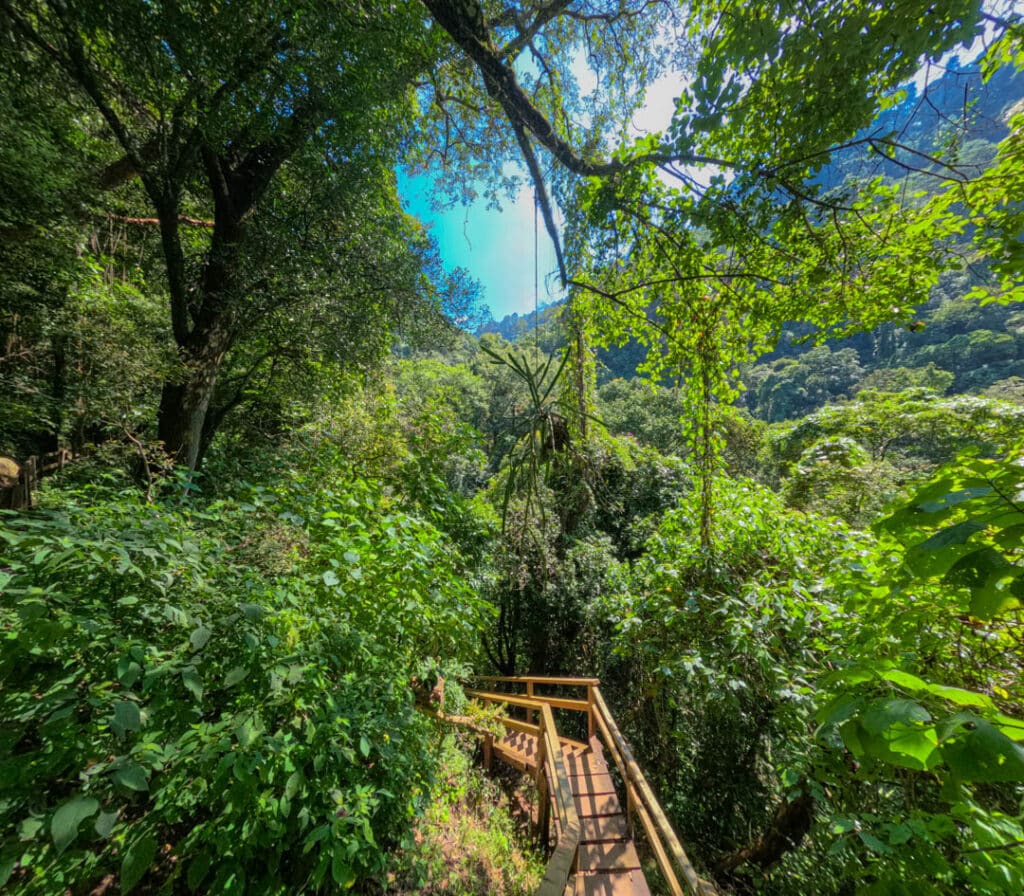 Guatemala hiking