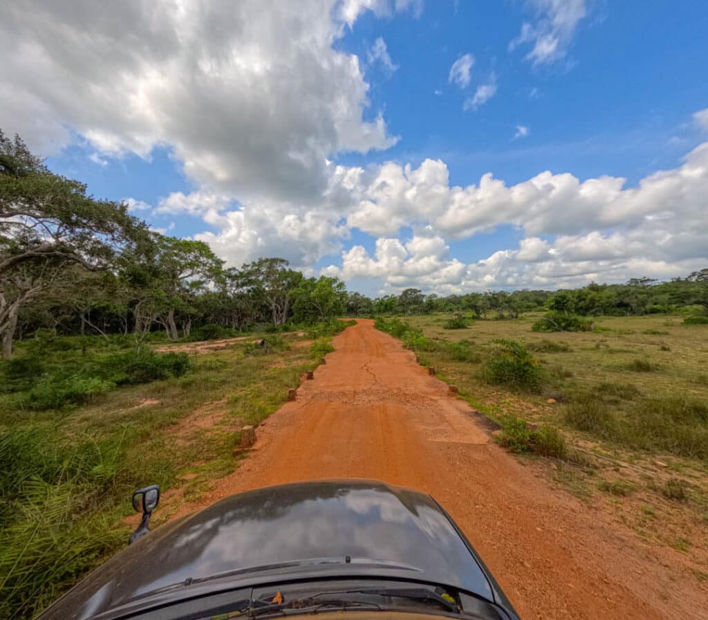 Wilpattu National Park roads