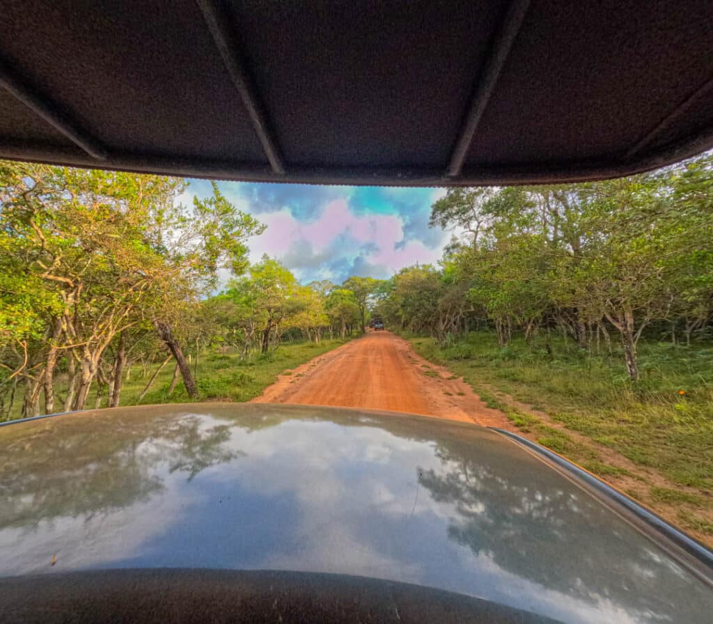 Sri Lanka safari