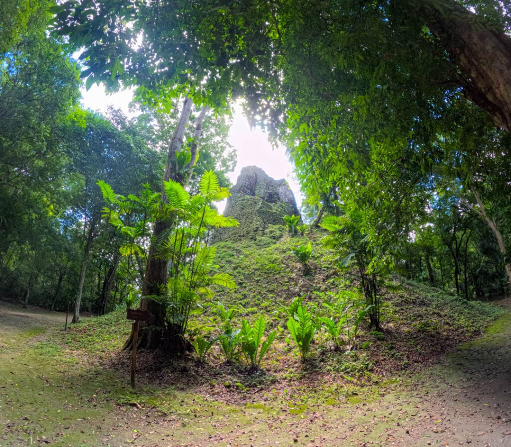 Tikal ruins
