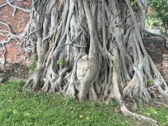 Ayutthaya from Bangkok day trip