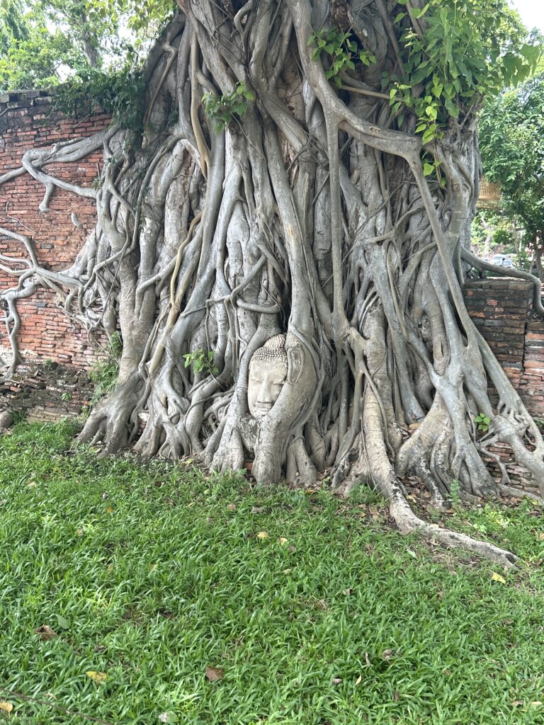 Ayutthaya day trip from Bangkok