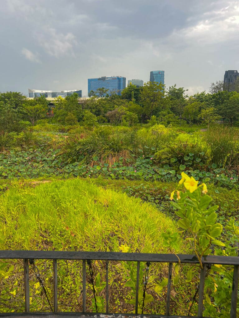 Bangkok city park Benjikitti