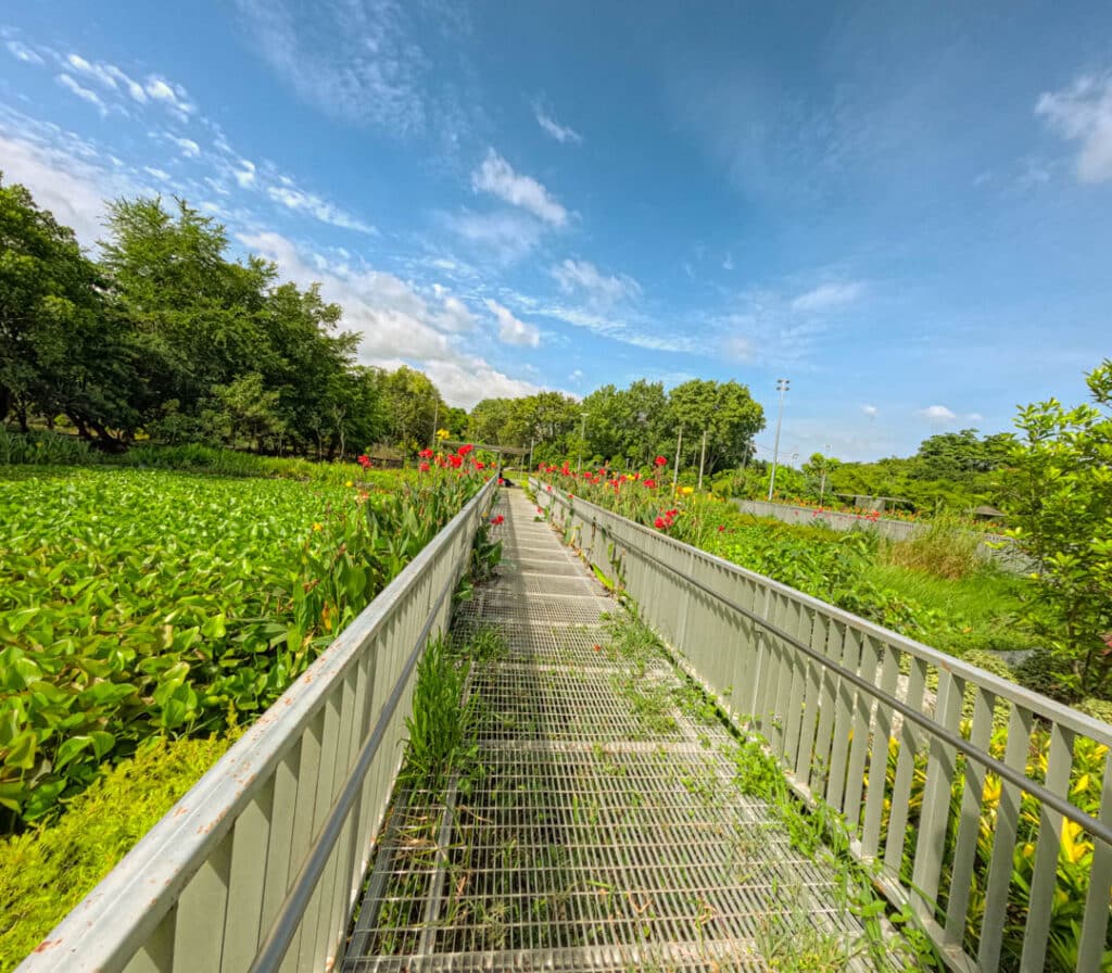 Bangkok city park