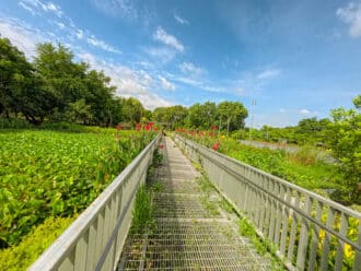 Bangkok city park