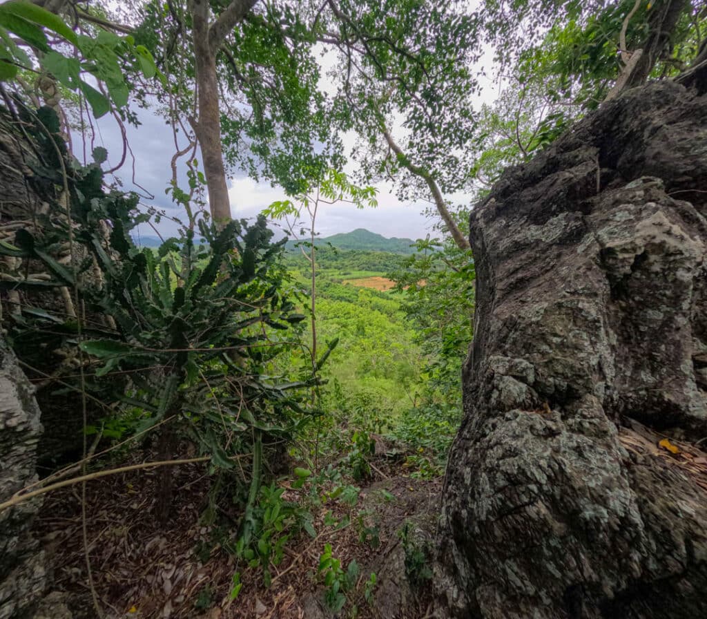 Baan Maka Nature Lodge viewpoint