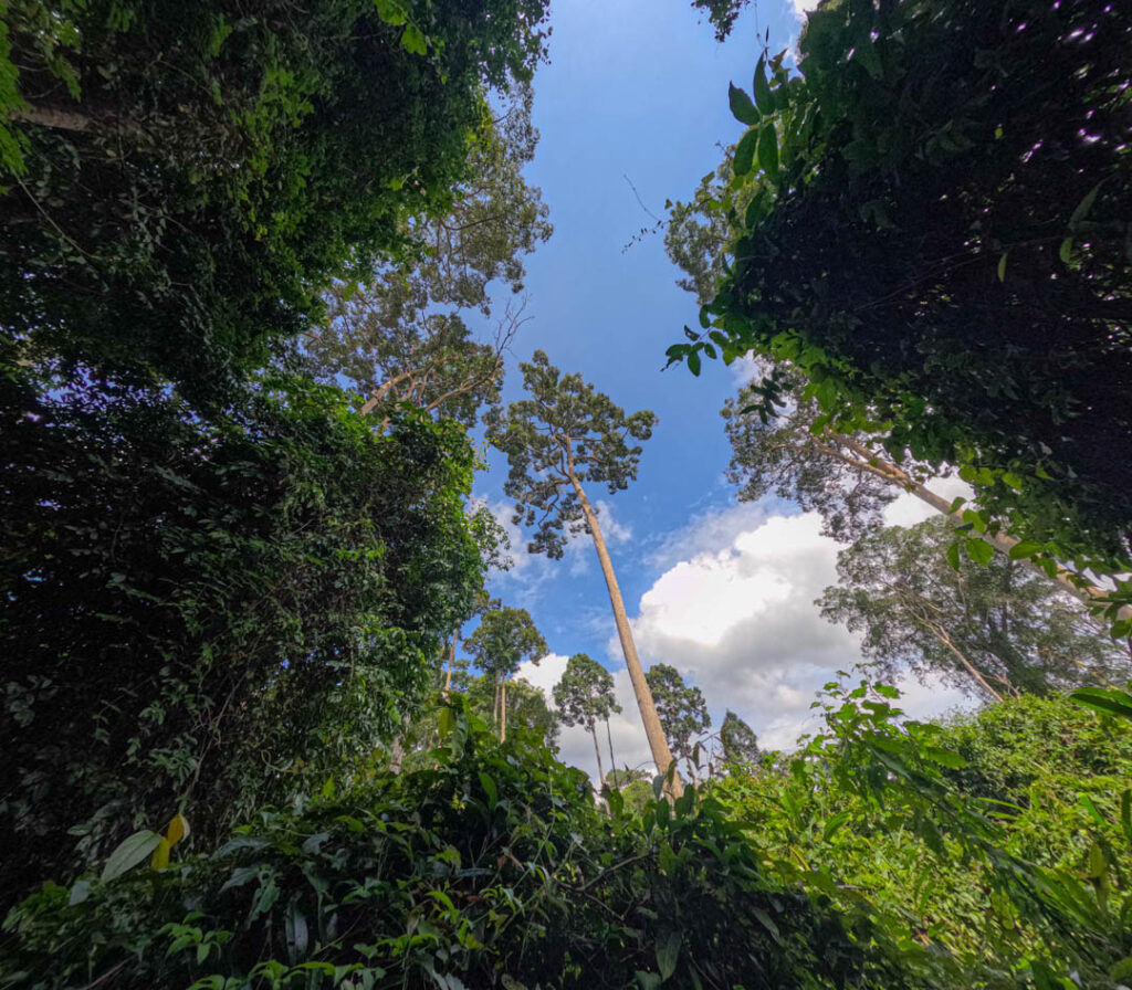 Khao Yai National Park