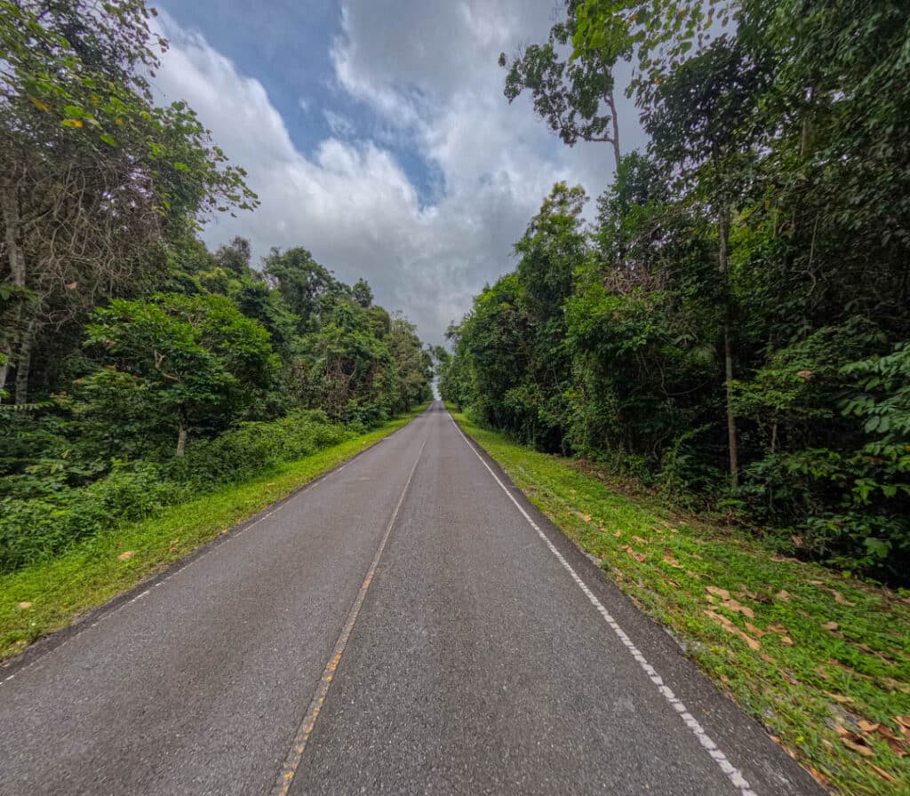 Khai Yai National Park tours