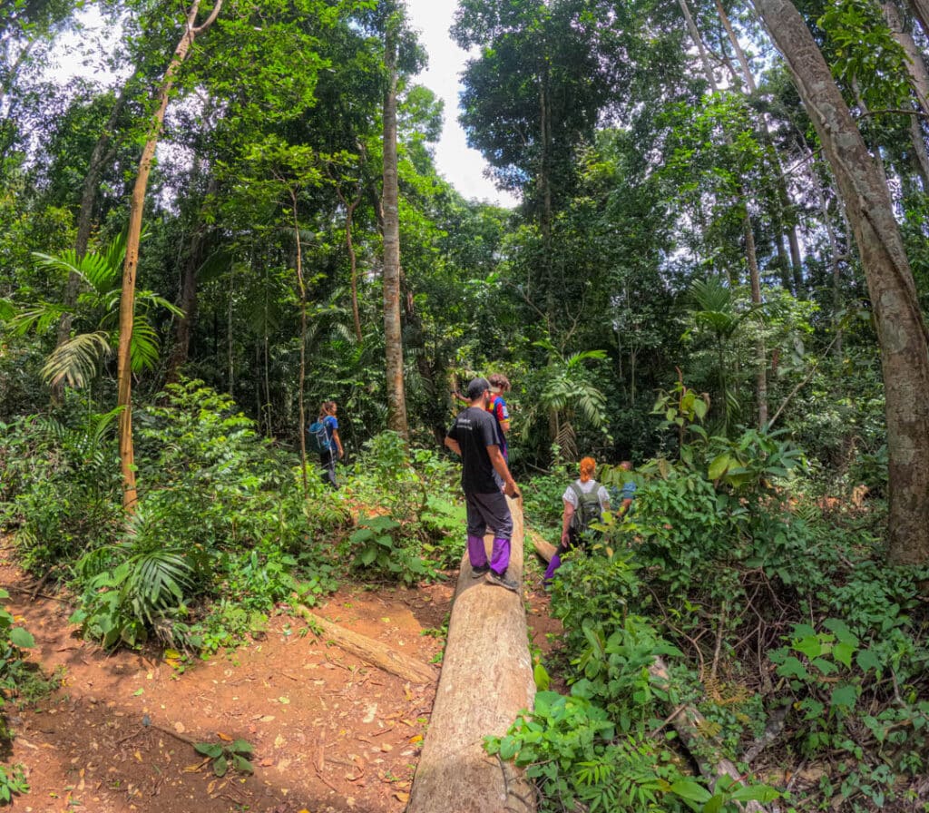 Run through the Thailand jungle