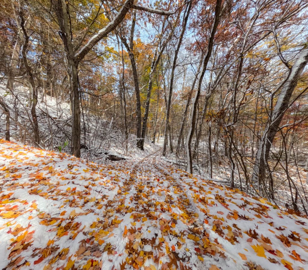 Indiana Dunes State Park