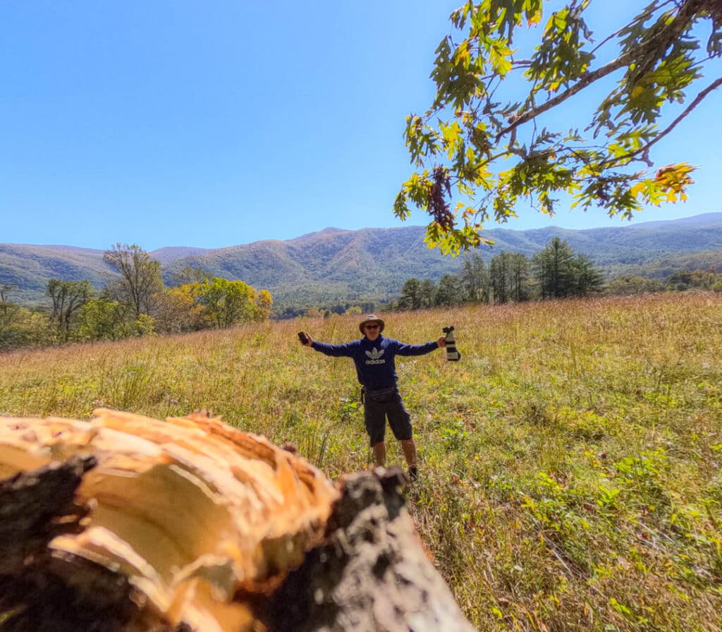 Birding Great Smoky Mountains