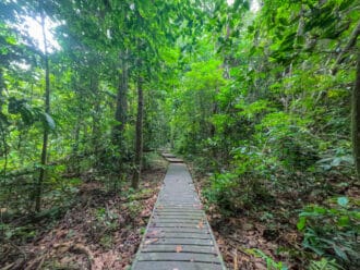 Taman Negara National Park