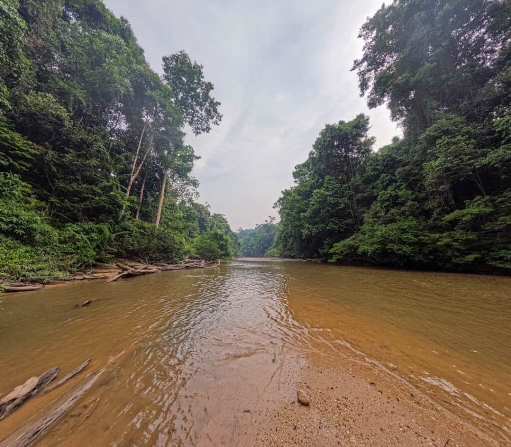 Taman Negara Tembeling River