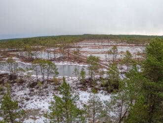 Lahemaa National Park Viru Bog