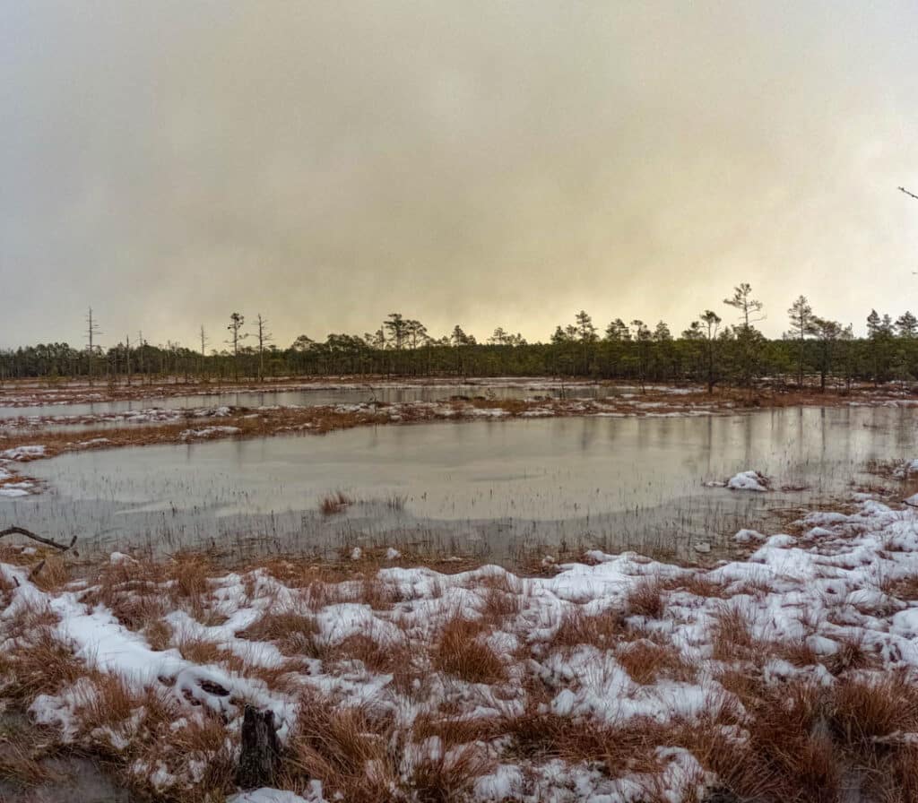 Lahemaa National Park Viru Bog