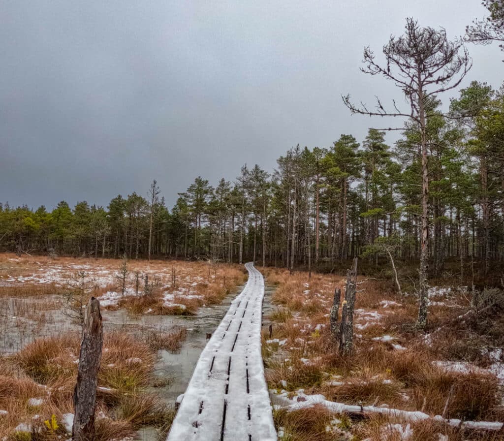 Viru Bog Lahemaa National Park.