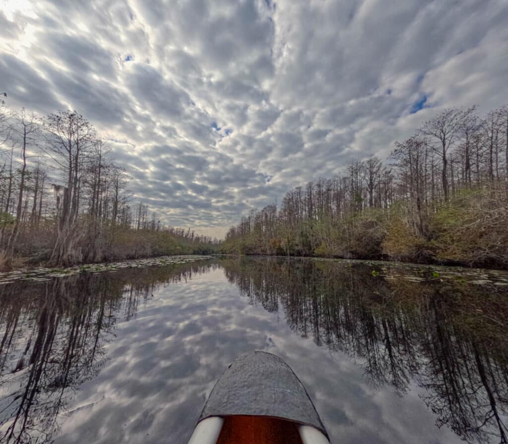 Okefenokee Swamp Georgia